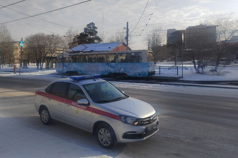 Фото В Улан-Удэ сотрудники вневедомственной охраны задержали подозреваемого в краже алкоголя на 18 тысяч рублей