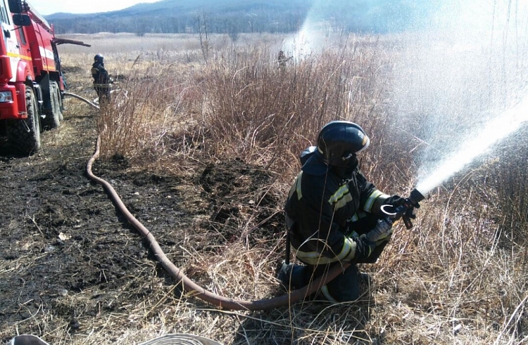 Фото В Бурятии потушили все лесные пожары