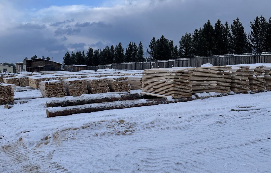 Фото С начала года из Бурятии экспортировано более 5 тысяч кубометров древесины