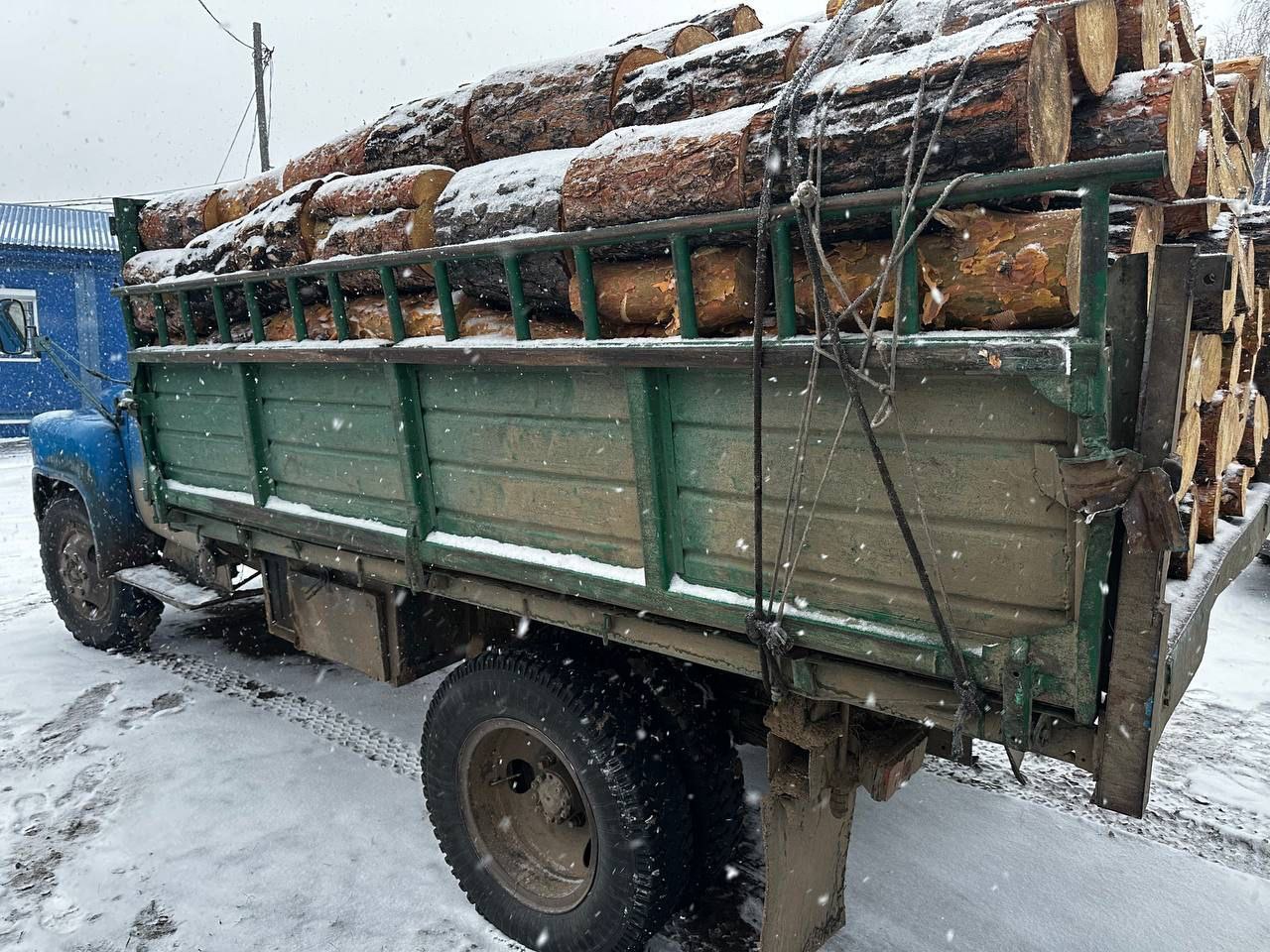 Фото Недалеко от бурятского села полиция поймала черного лесоруба
