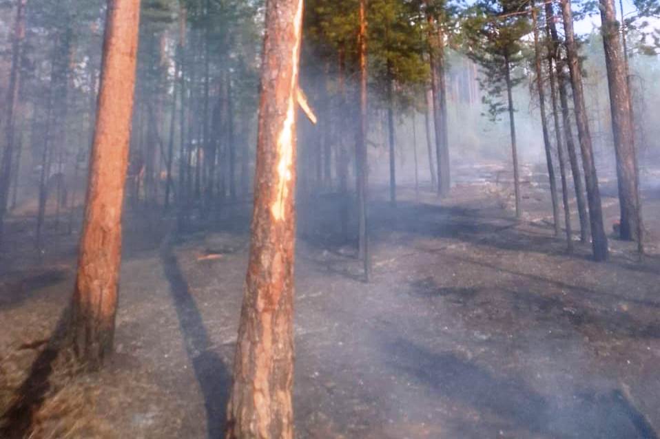 Фото В Бурятии 230 человек тушили 7 лесных пожаров