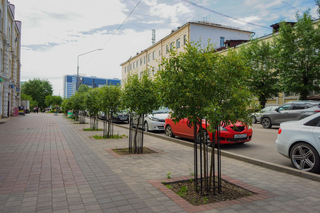 Фото На главной площади Улан-Удэ подросли первые яблони программы «Зеленый город»