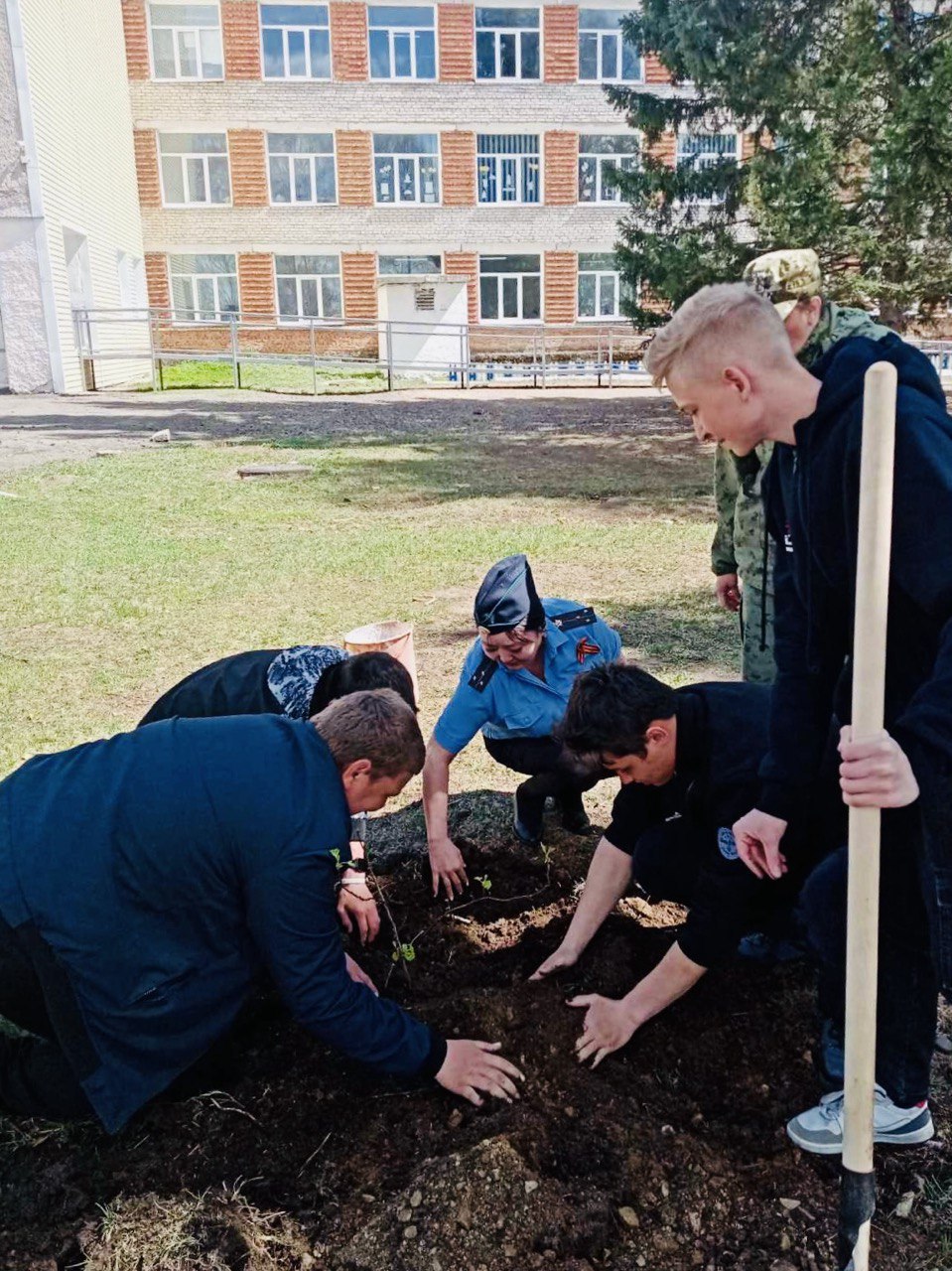 В районе Бурятии лесники и школьники высадили рябины | 16.05.2024 | Новости  Улан-Удэ - БезФормата