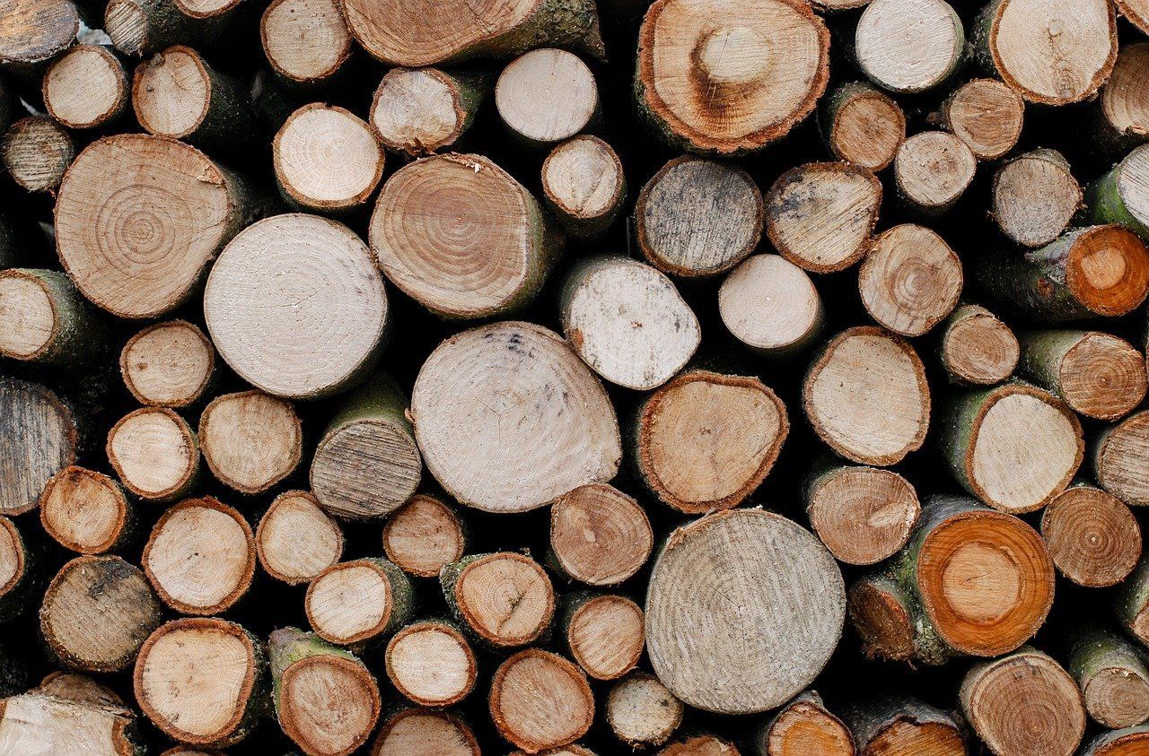 Фото Жители Бурятии могут забрать древесину с лесосек