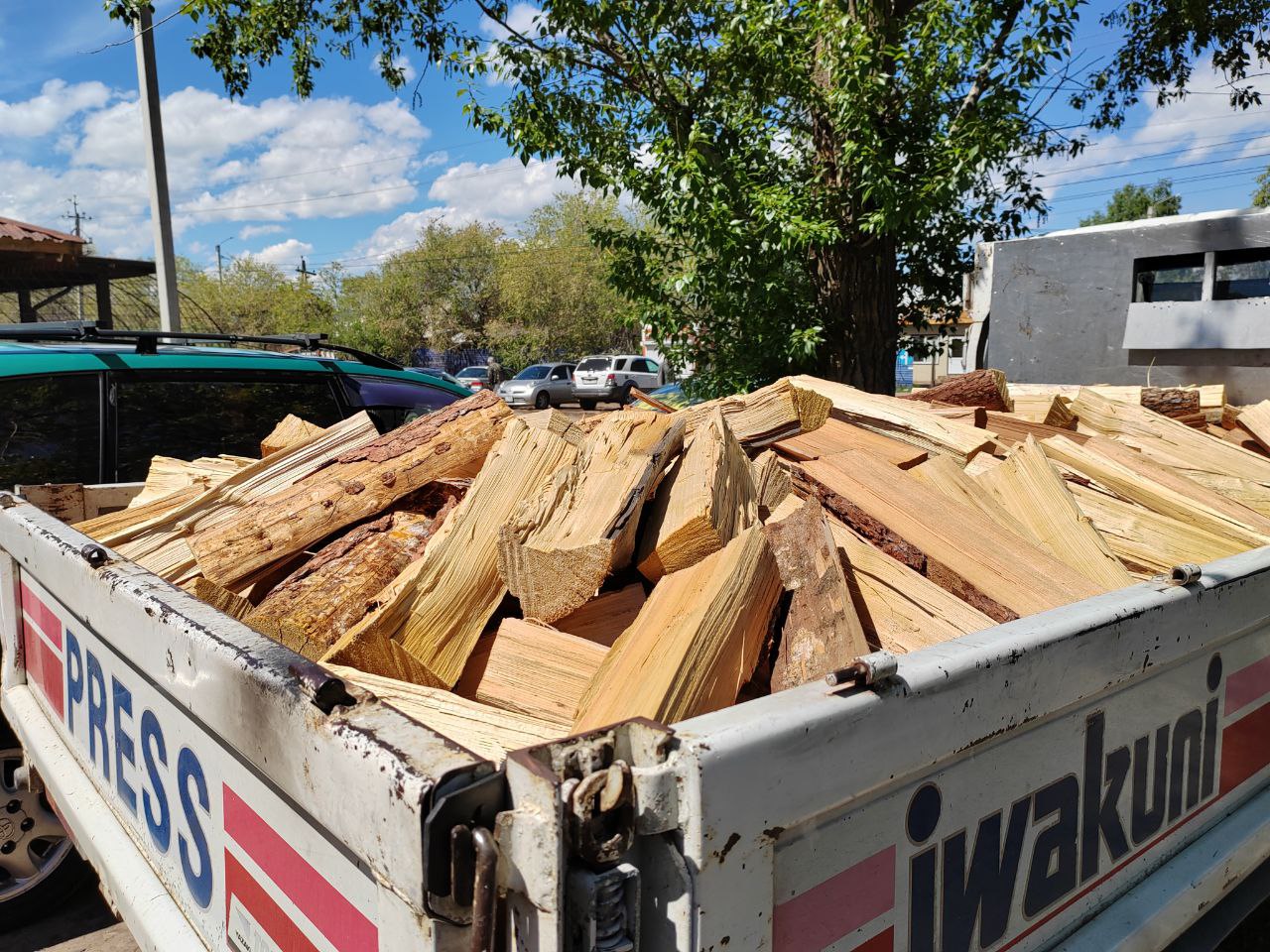 Фото Подача заявления на дрова для жителей Бурятии стала проще