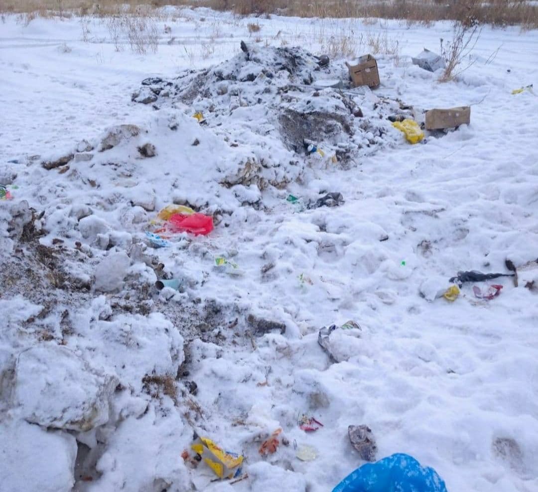 Фото Улан-удэнец вывалил кучу бытового мусора в лесу