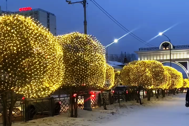 Фото Яблони в Улан-Удэ засветились по-новогоднему (ВИДЕО)