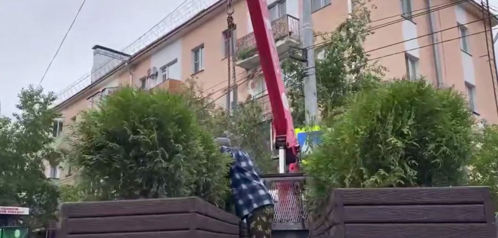 Фото Элеватор в Улан-Удэ украсили кашпо с туями