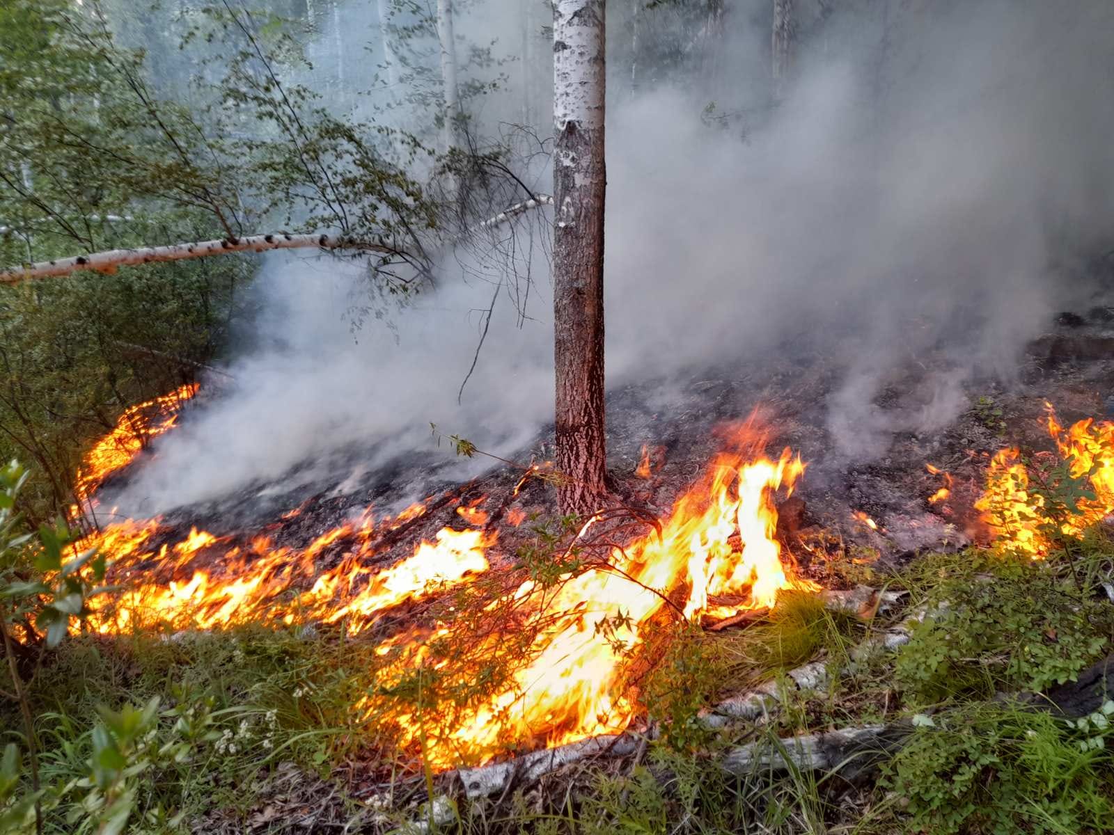 Фото В Бурятии третьи сутки тушат лесной пожар, возникший из-за сухой грозы