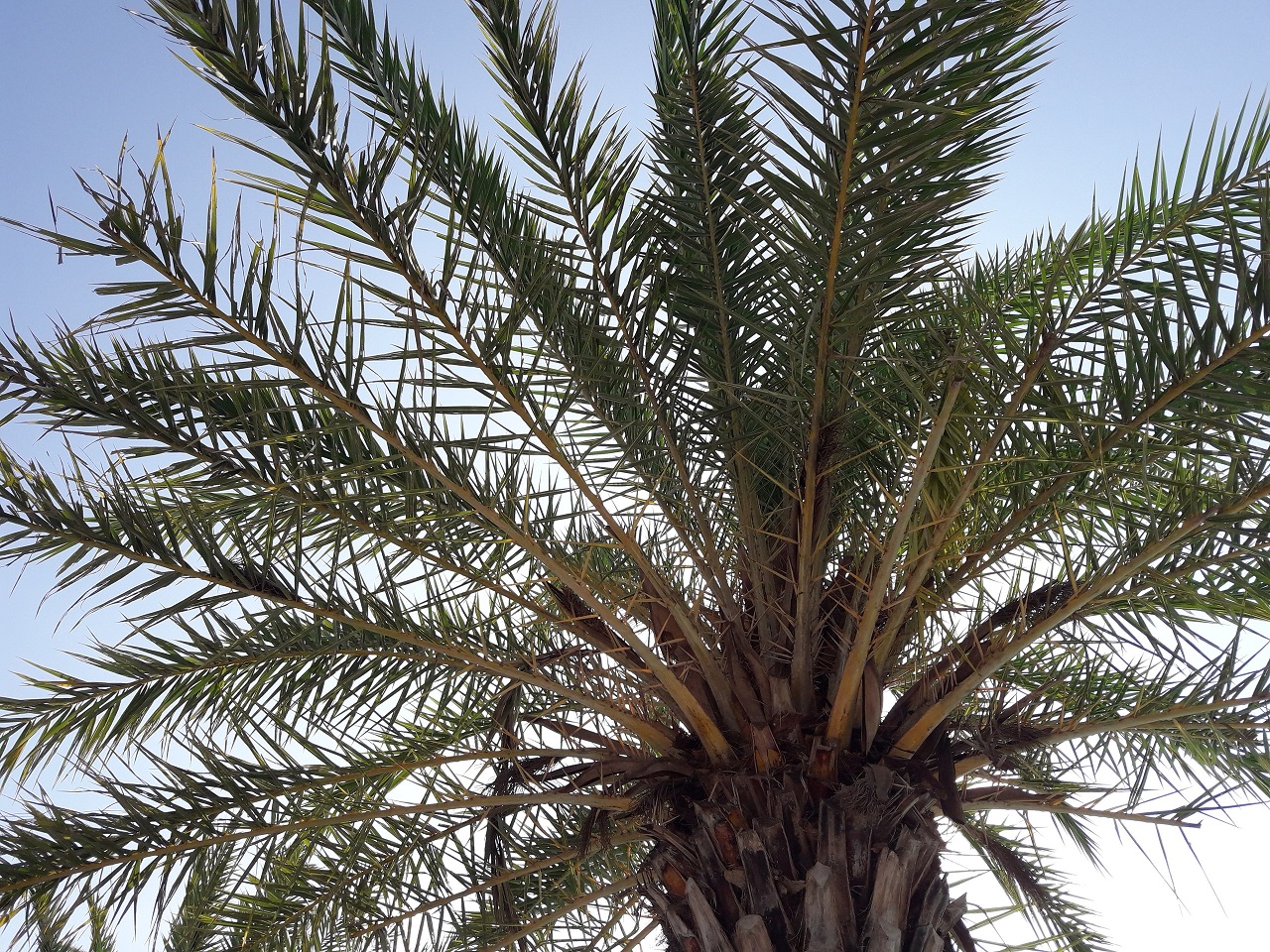 Фото Более 60% жителей Улан-Удэ решили не идти в отпуск осенью