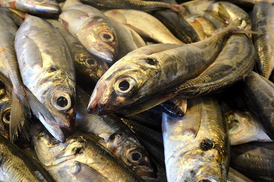 Фото В Роспотребнадзоре Бурятии рассказали, как выбирать рыбные консервы