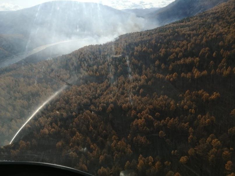 Фото В Муйском районе Бурятии из-за неосторожного обращения с огнем сгорело 4,5 га леса