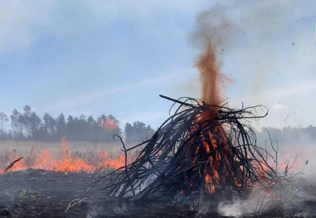 Фото В Бурятии продолжаются пожары из-за сухой травы