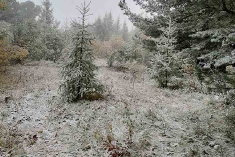 Фото В Закаменском районе Бурятии вдруг наступила «зима»