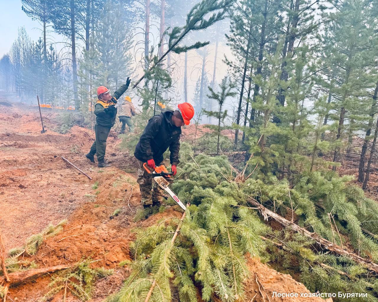 Фото Площадь лесных пожаров продолжает увеличиваться в Бурятии