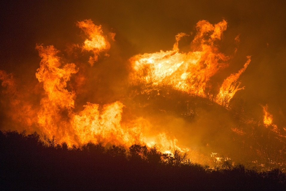 Фото Бурятия попала в зону риска лесных пожаров