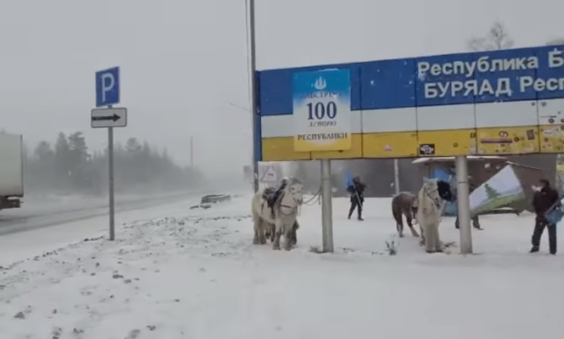 Фото Конные путешественники из Якутии покинули Бурятию
