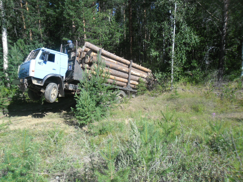 Фото «Черные» лесорубы застряли на лесной дороге в Бурятии