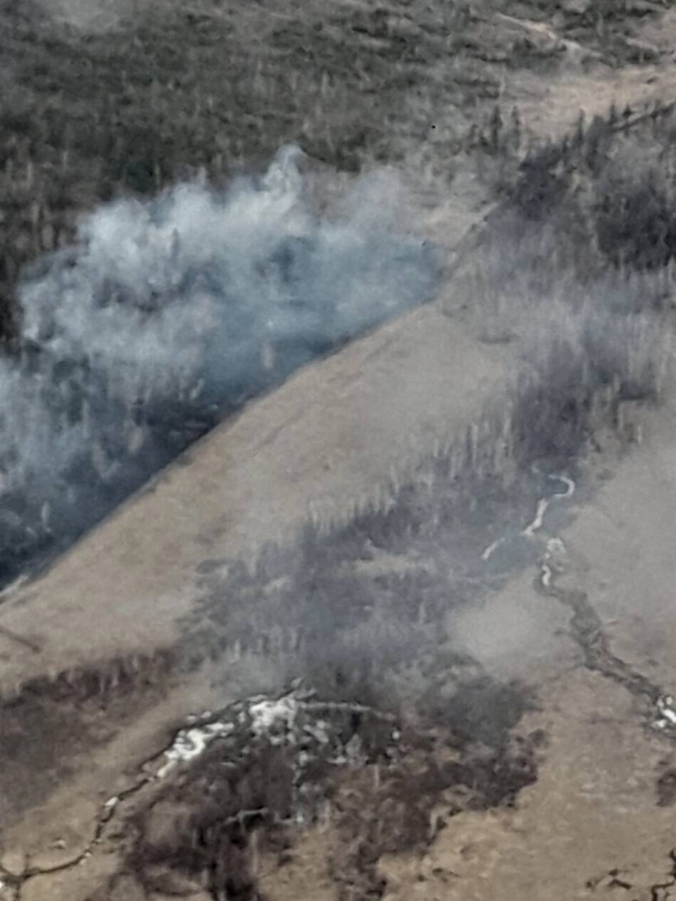 Фото Новые лесные пожары возникли в трех районах Бурятии