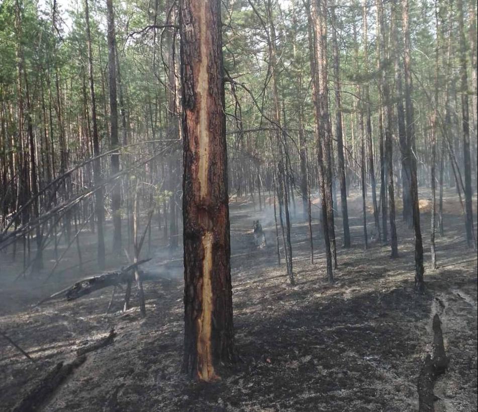 Фото В Бурятии сухие грозы стали причиной лесных пожаров на 67 га