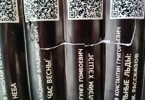 Фото Неизвестные повредили книги-муляжи с QR-кодами в улан-удэнском парке