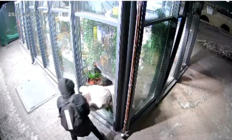 Фото В Улан-Удэ ищут «Бонни и Клайда», похитивших из витрины магазина плюшевого медведя (ВИДЕО)