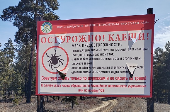 Фото Жителям Бурятии посоветовали хранить клеща в холодильнике 