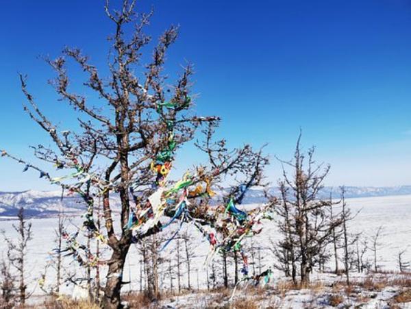 Фото В Бурятии экс-руководитель РАЛХ пойдет под суд за причинение ущерба природе Байкала
