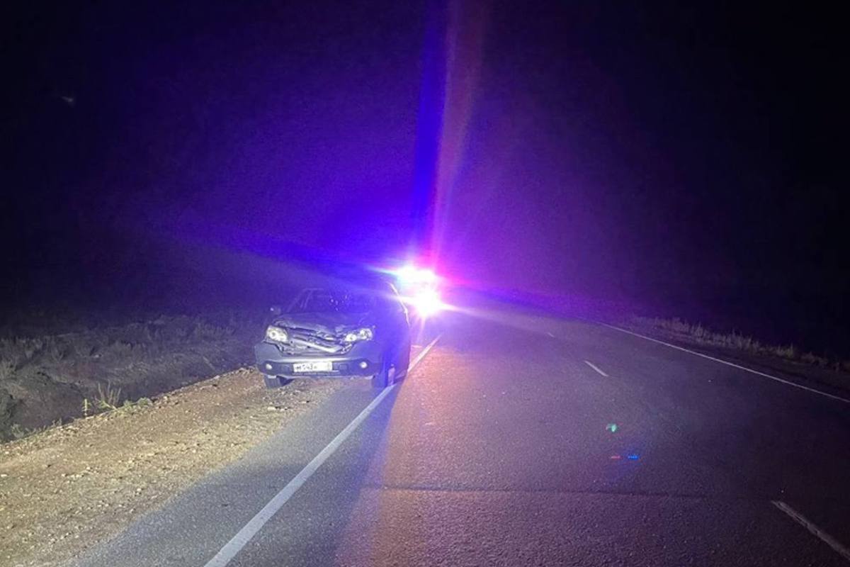 Фото Два водителя сбили  одну и ту же лошадь в Иволгинском районе Бурятии