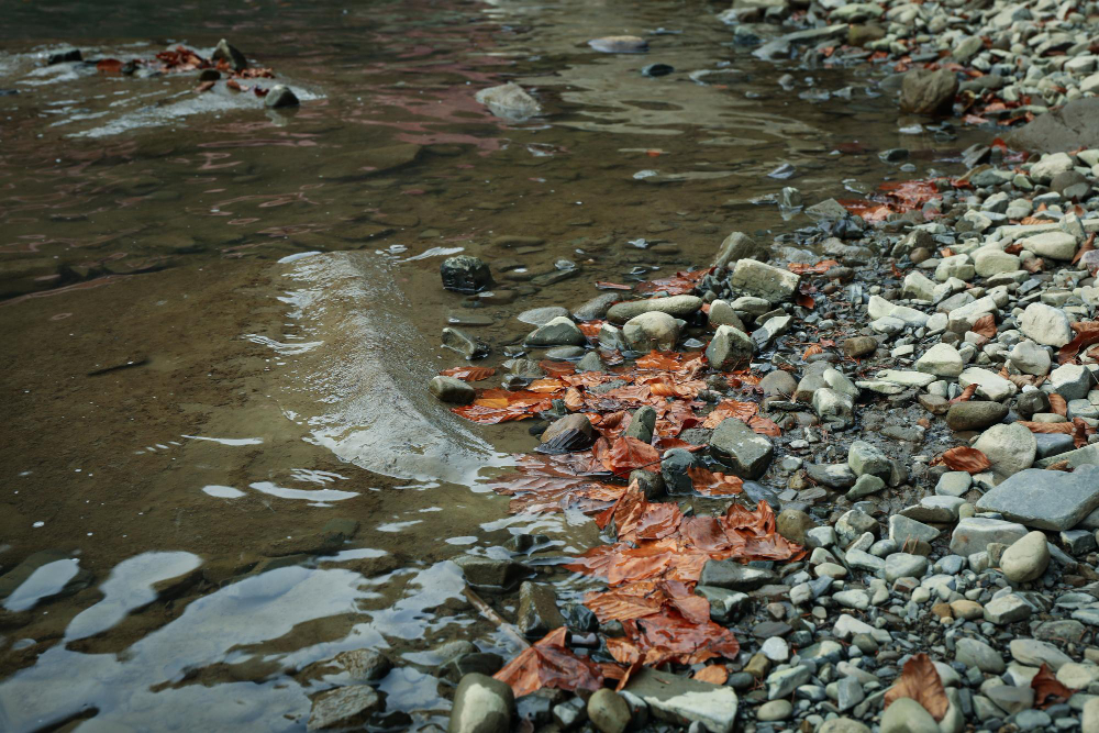 Фото На севере Бурятии золотодобыдчики загрязнили несколько ручьев