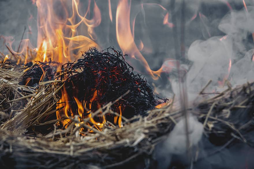 Фото В Бурятии из-за детской шалости огнем уничтожено 20 центнеров сена