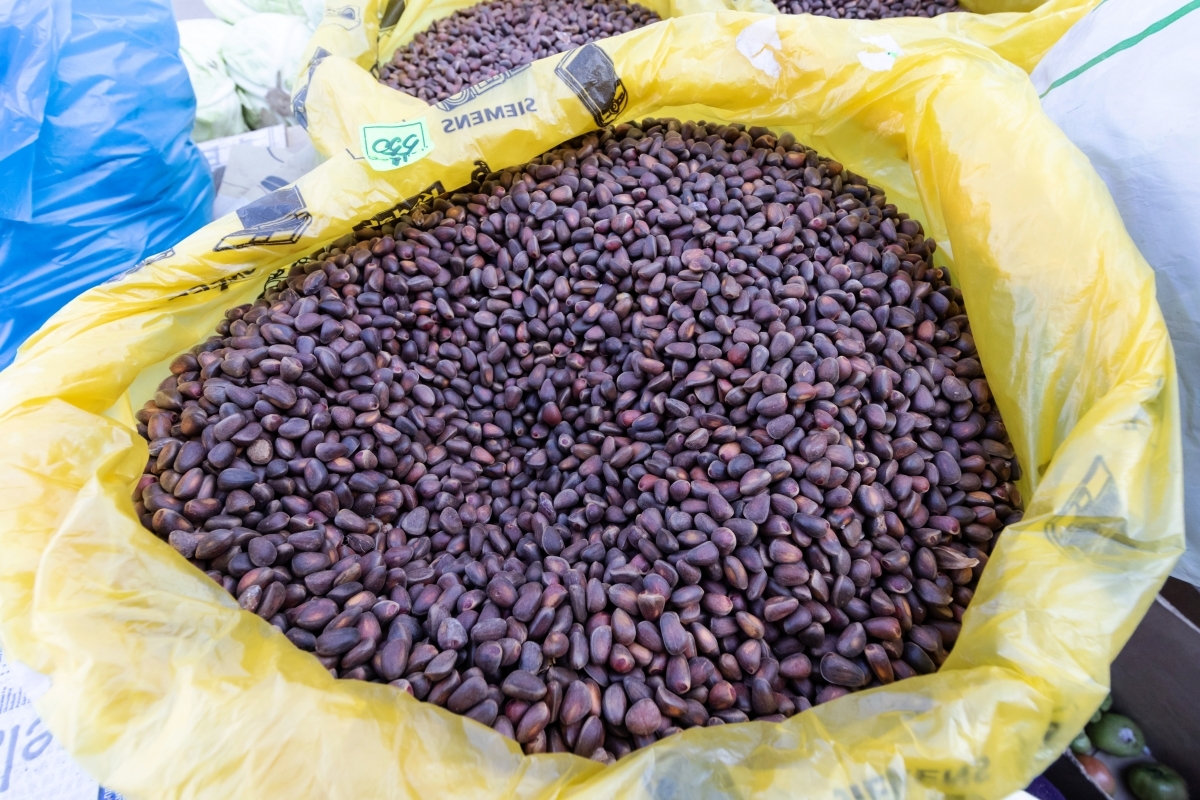 Фото Из Бурятии в Китай с начала года вывезено более 6700 тонн кедрового ореха