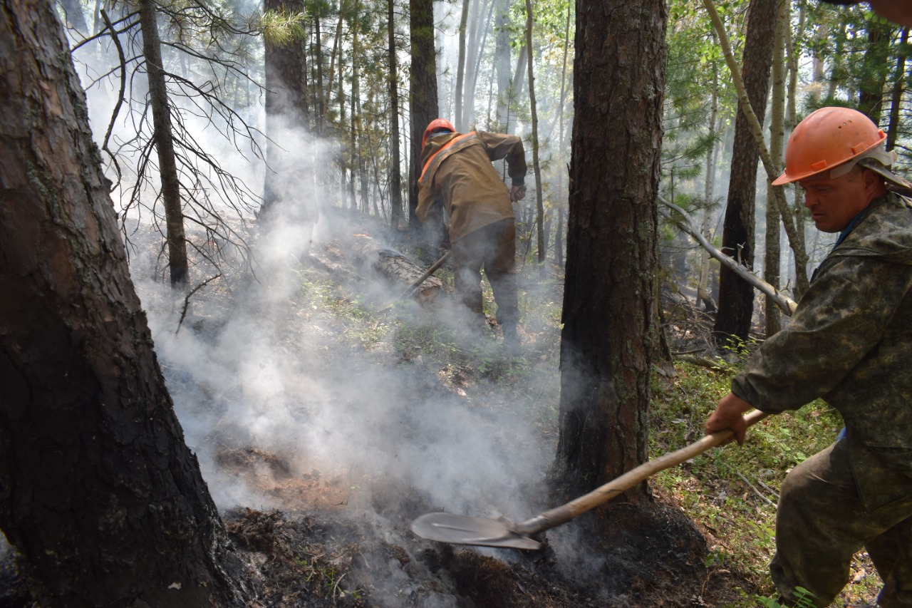 Фото В 13 районах Бурятии тушили лесные пожары