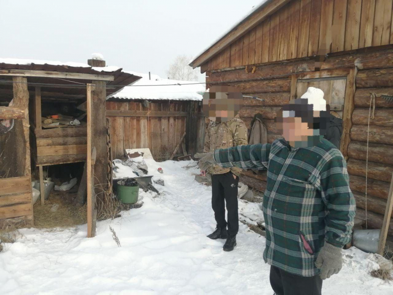 Фото В Бурятии полицейские нашли каннабис в стайке