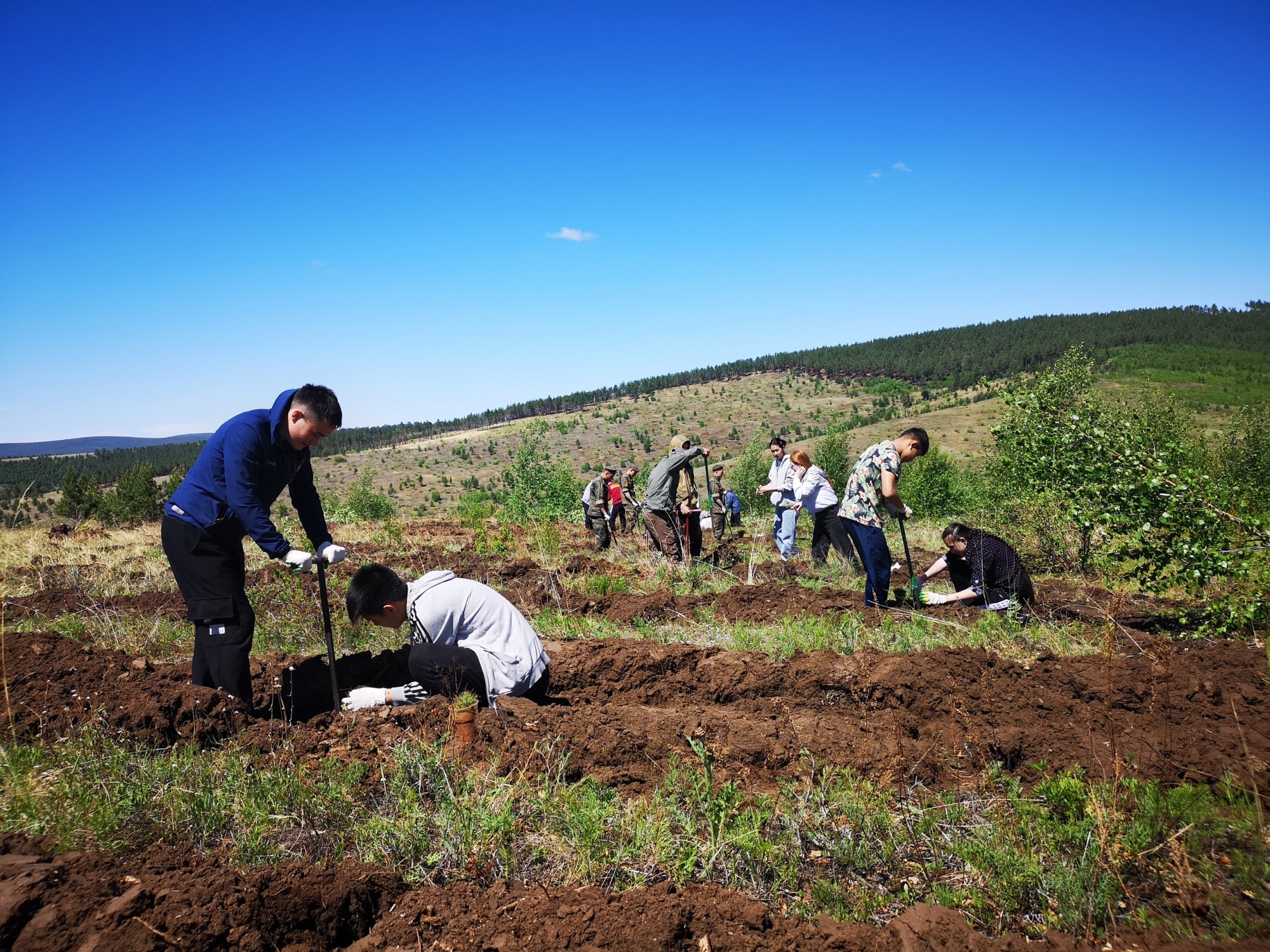 Фото Бурятские волонтеры активно реализуют проект «Посади лес»