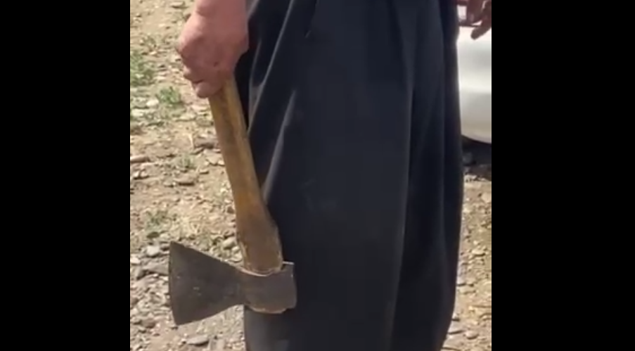 Фото В Улан-Удэ сотрудникам отлова угрожали топором 