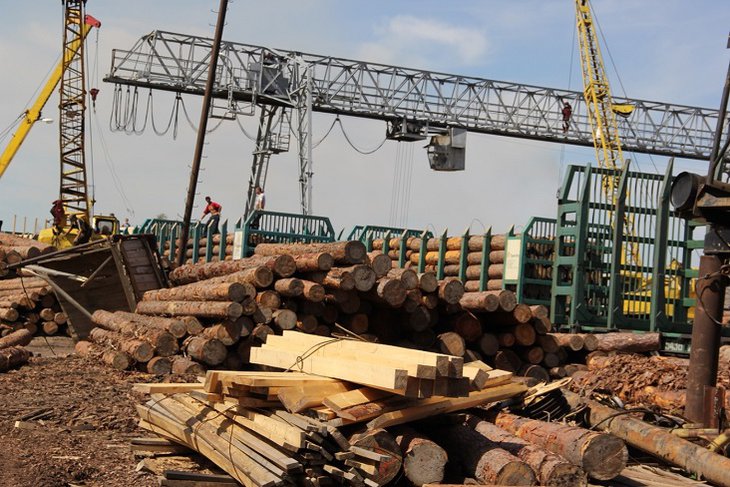 Фото Контрабанду древесины на 620 миллионов рублей пресекли в Иркутской области