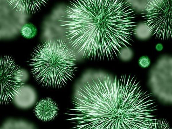 Фото В Бурятии еще 46 человек заразилось коронавирусом