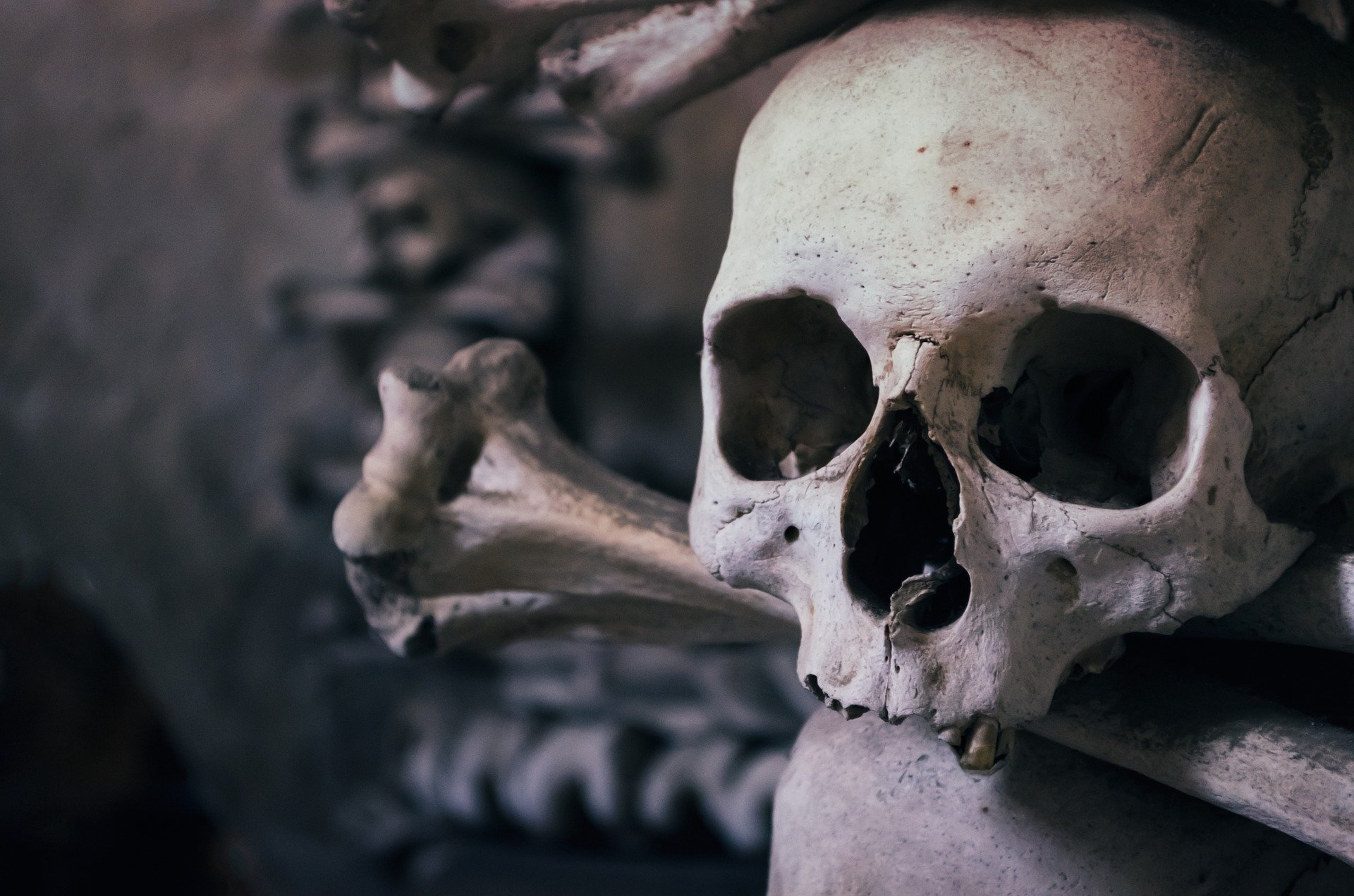 Фото На золотодобыче в Бурятии нашли человеческий череп с пулей внутри