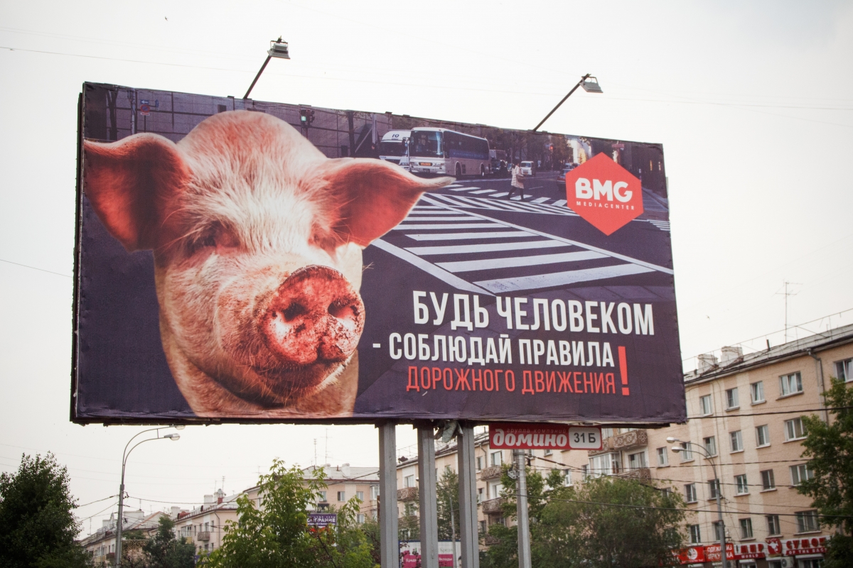 Фото 6,5 тысяч пьяных водителей поймали в Бурятии в этом году