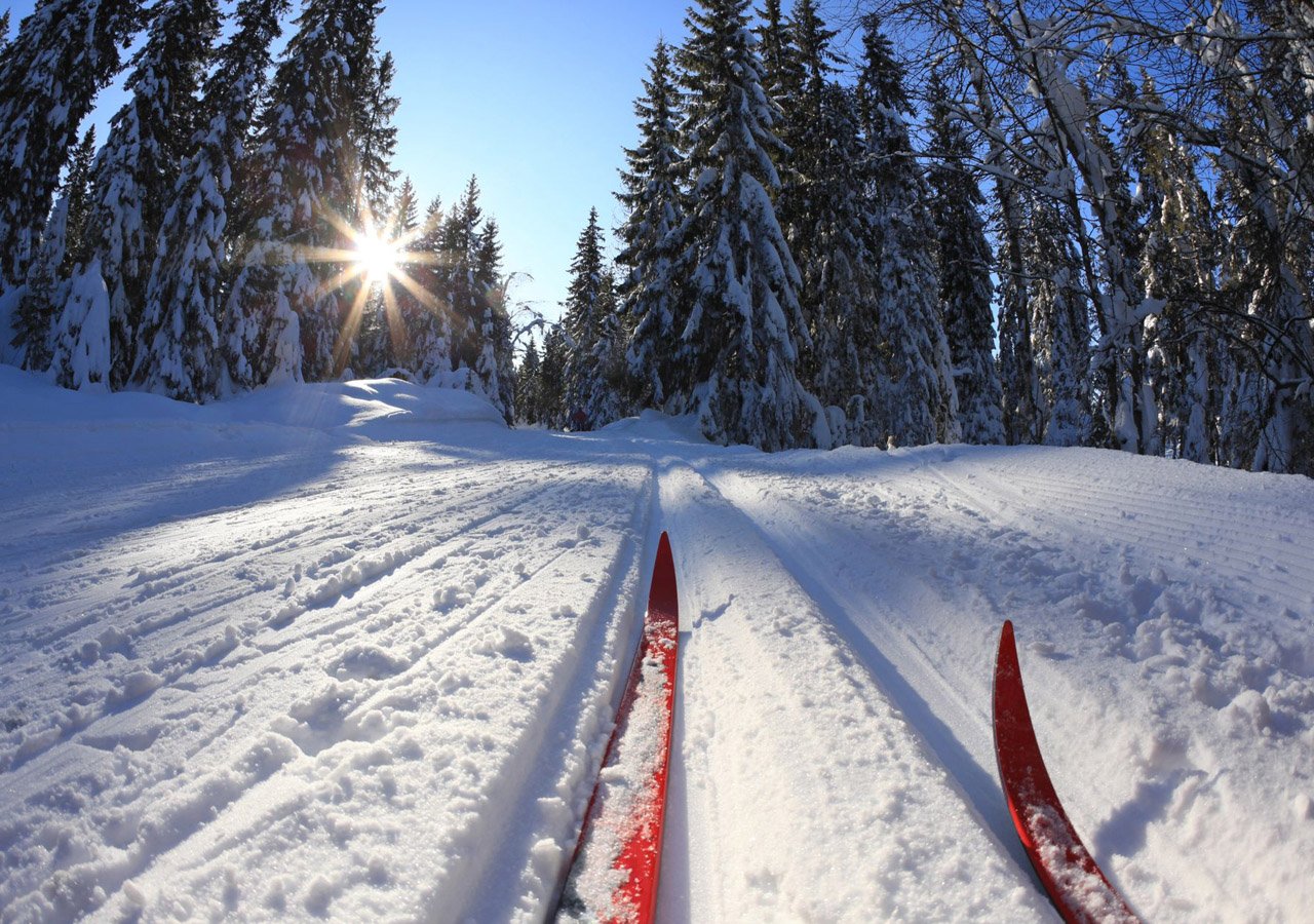 Фото Иркутские наркодилеры на лыжах развозили наркотики в тайники
