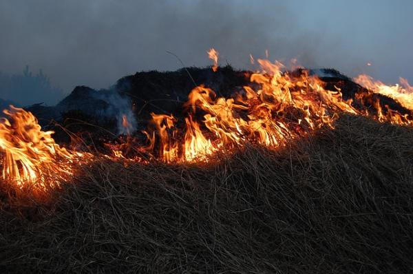 Фото В Бурятии ликвидировали первый за 2021 год лесной пожар