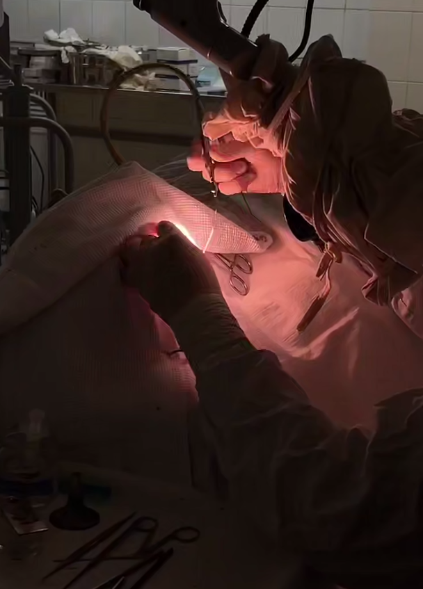 Фото Слух пациентам вернули бурятские врачи 