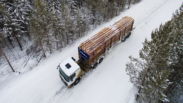 Фото Матвиенко предложила ввести эмбарго на вывоз леса из России