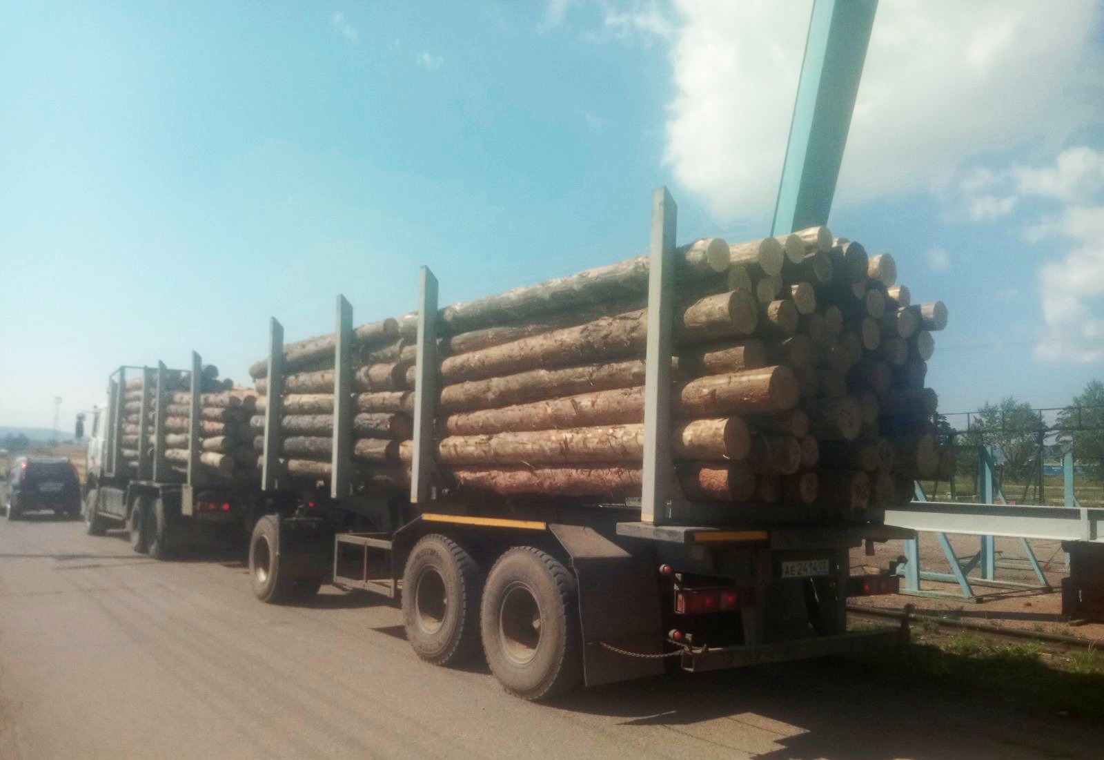 Фото В Бурятии предприниматели заготовили древесину для постройки блиндажей на территории СВО