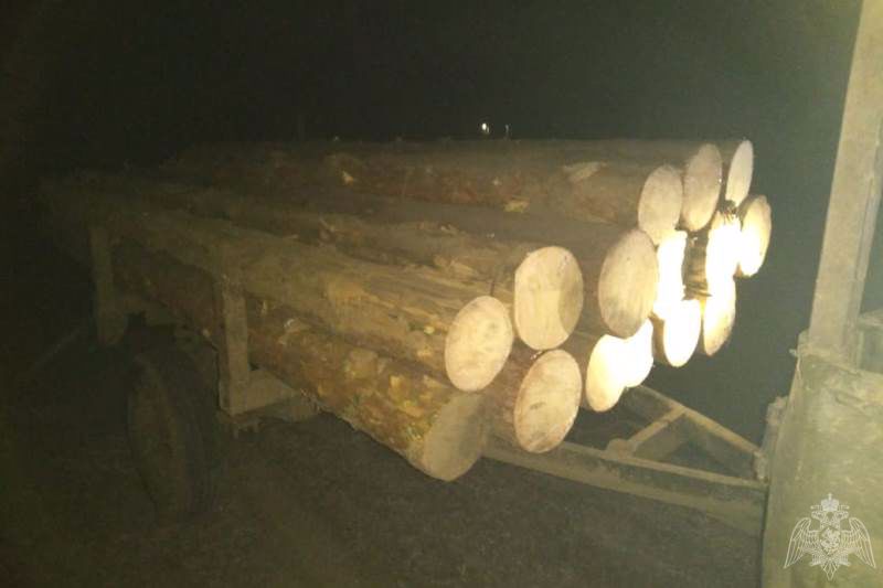 Фото В Бурятии “черный лесоруб” спилил деревья с ущербом более 100 тыс руб