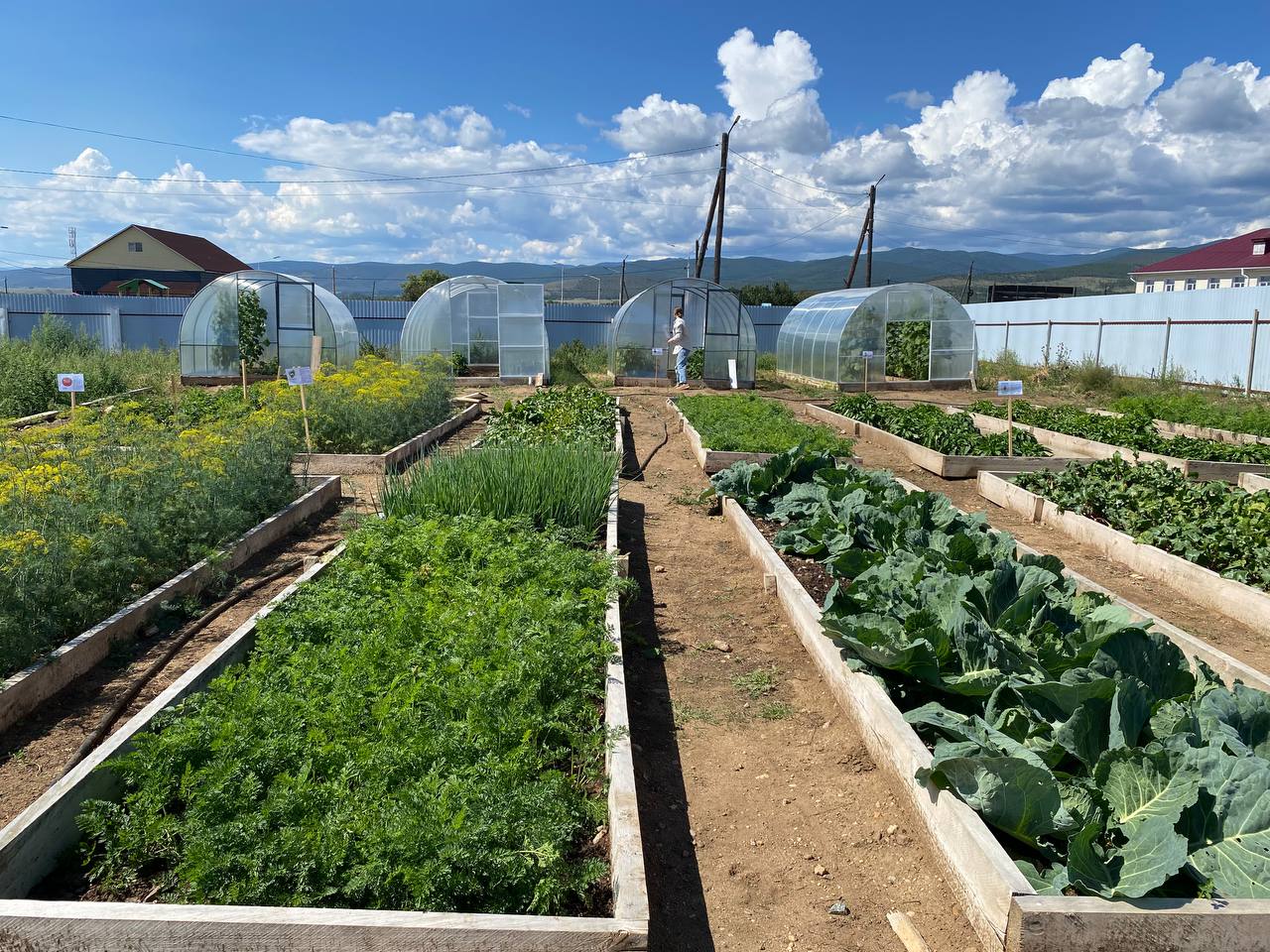 Фото Юные аграрии Бурятии устроили борьбу за мини-трактор