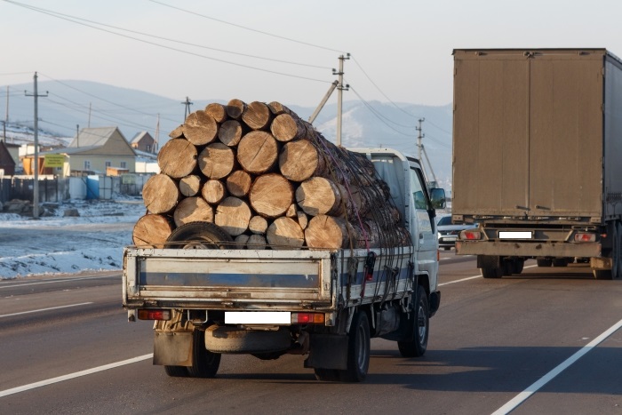 Фото В мэрии Улан-Удэ рассказали, где горожанам купить дрова