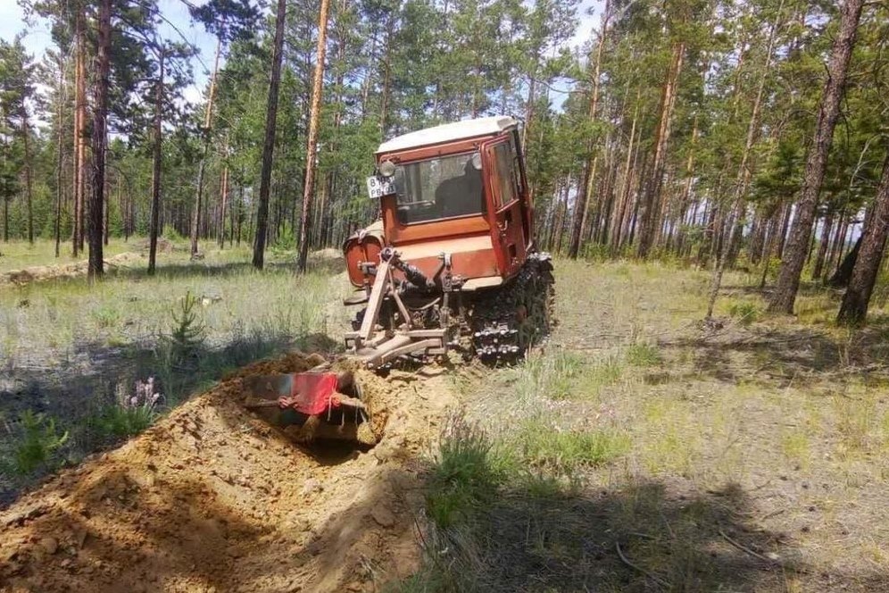 Фото В городских лесах Улан-Удэ проложат 300 км противопожарных минерализованных полос