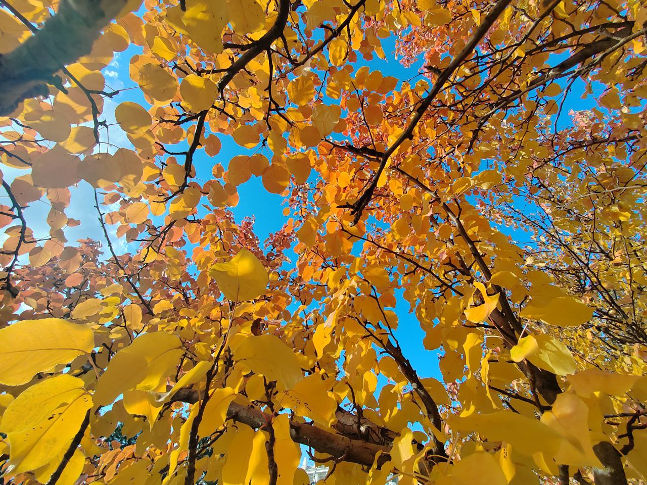 Фото В Бурятии ждут работы на конкурс детских рисунков «Разноцветные капли» 